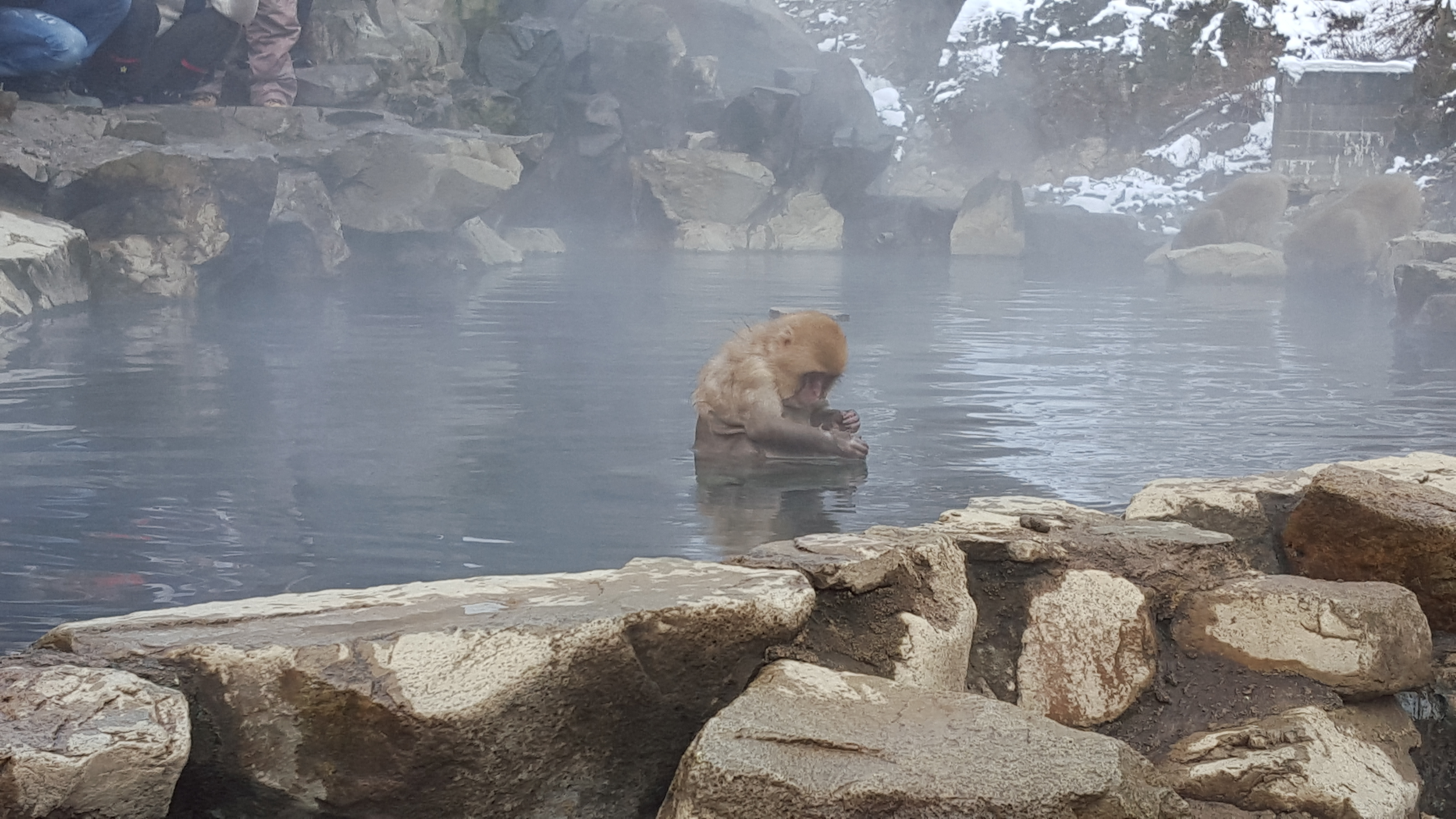 Japan Travel Image 6