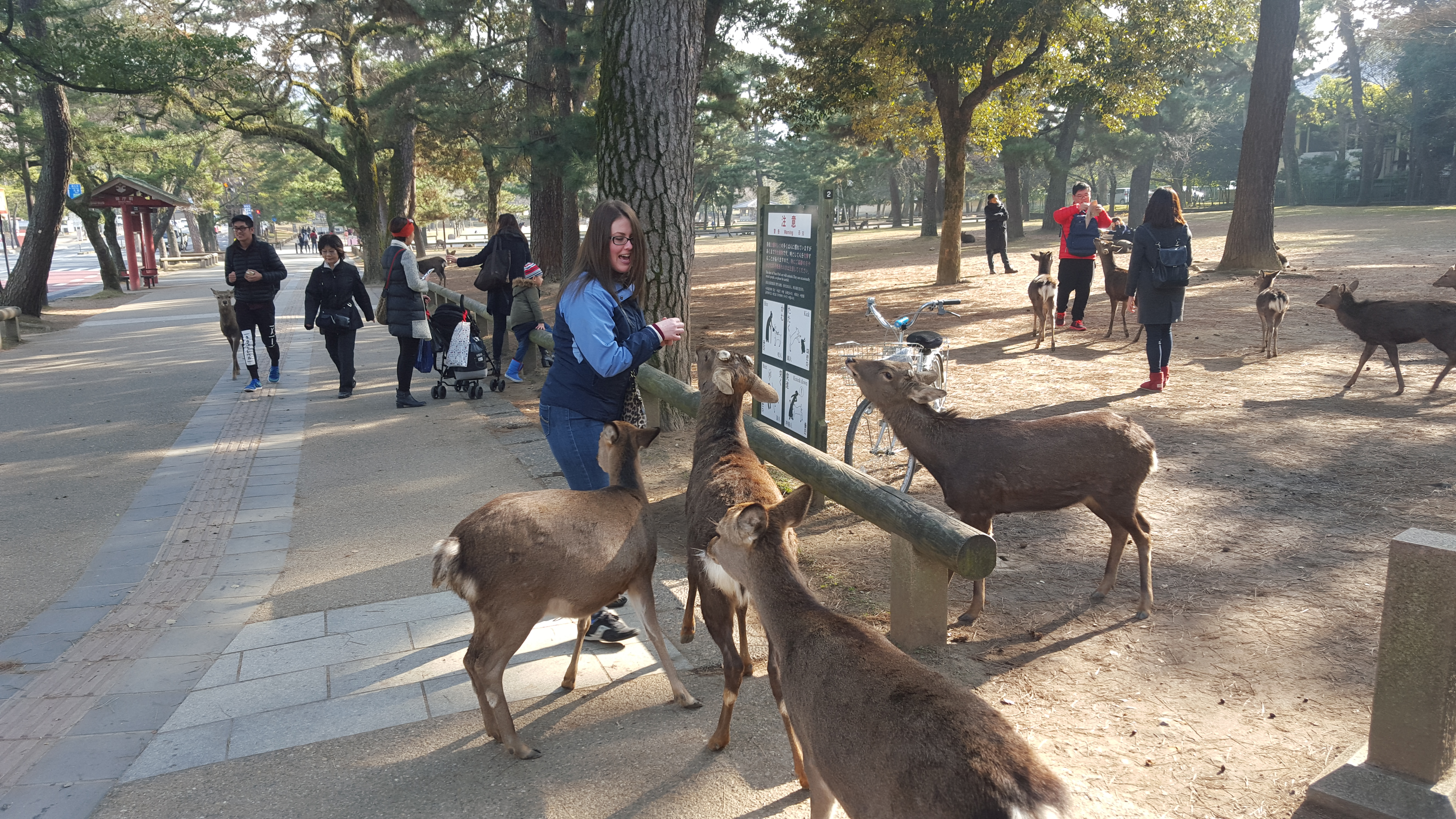 Japan Travel Image 8