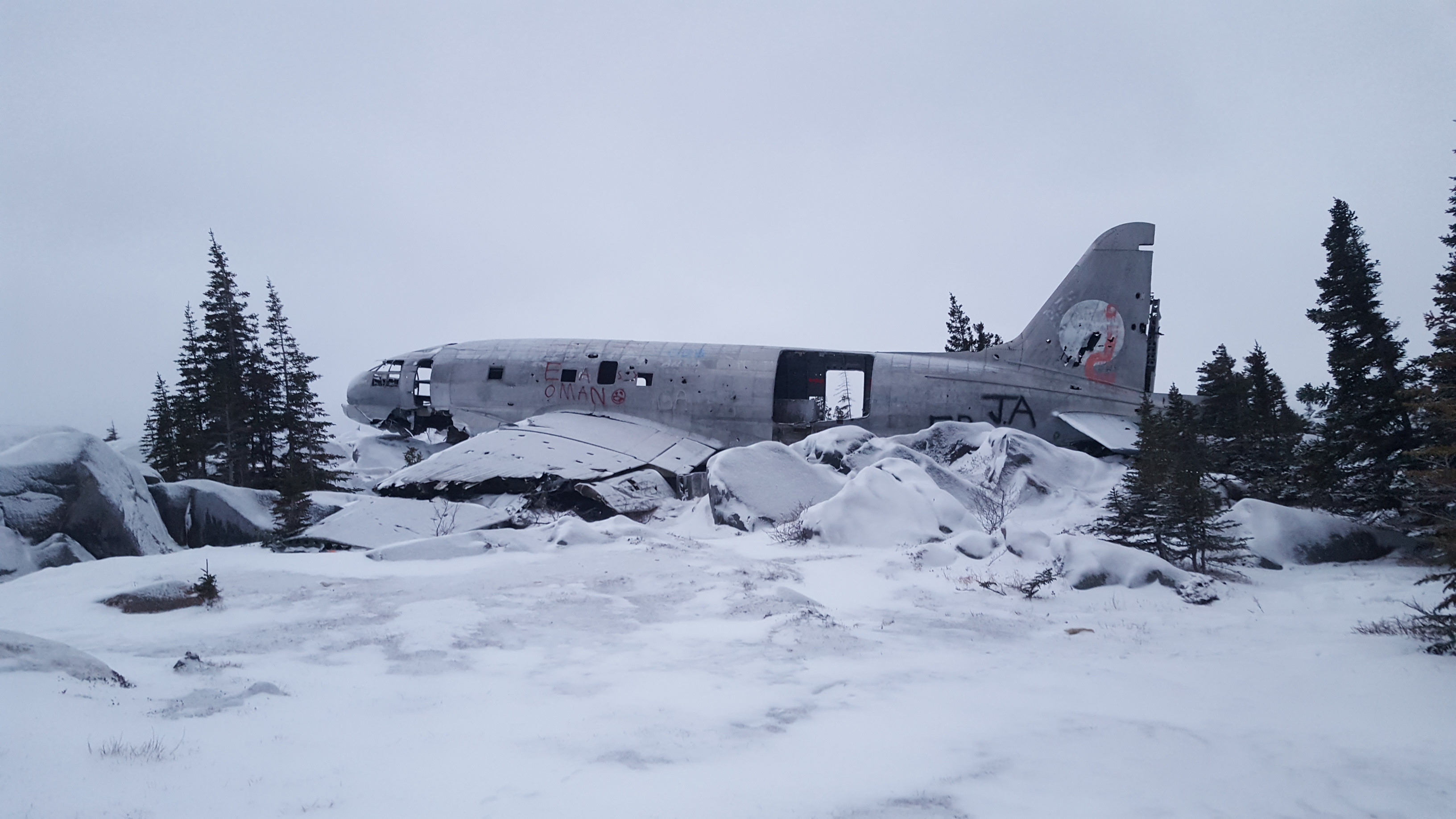 Polar Bears Trip Image 9