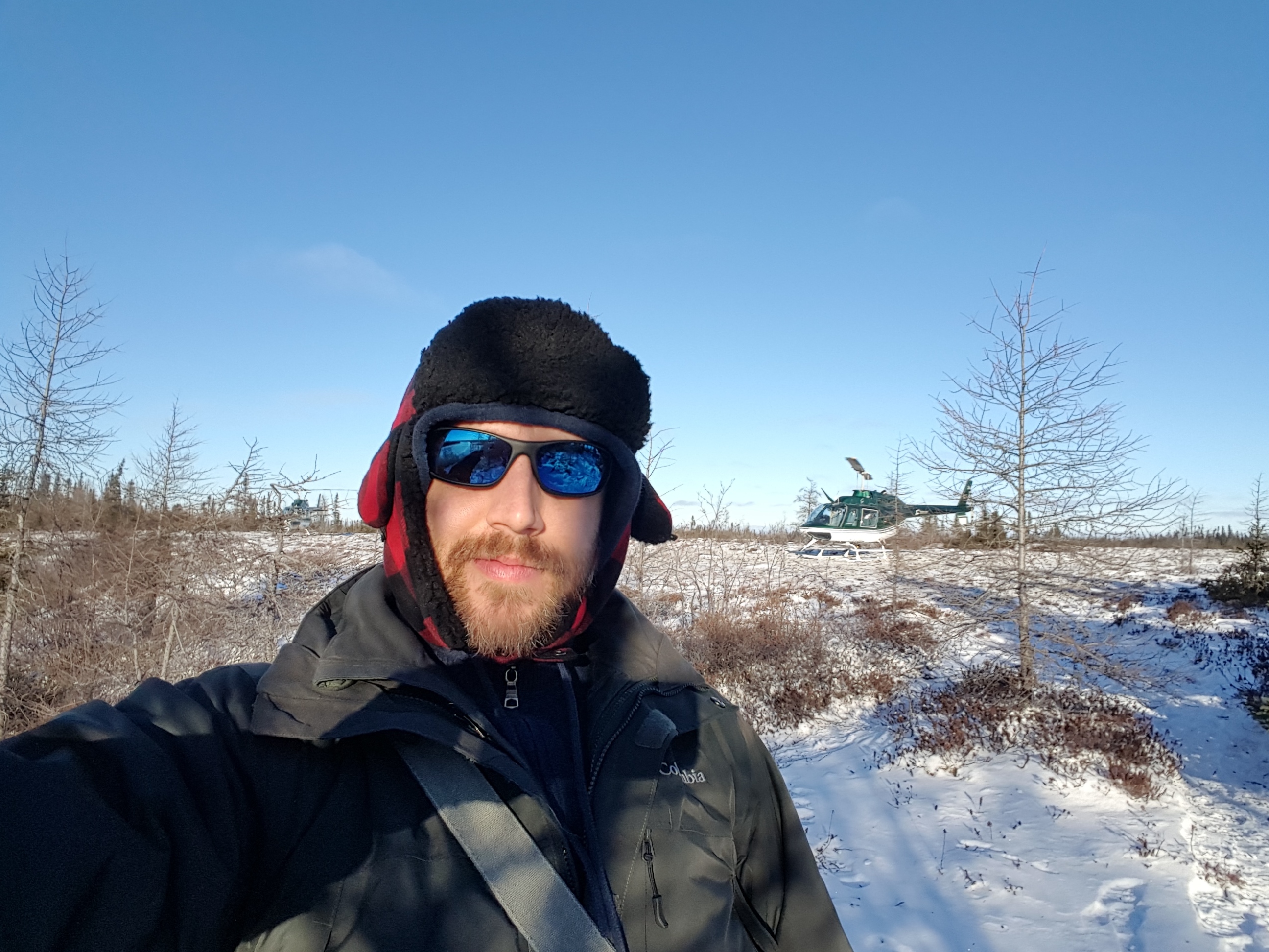 Polar Bears Trip Image 5