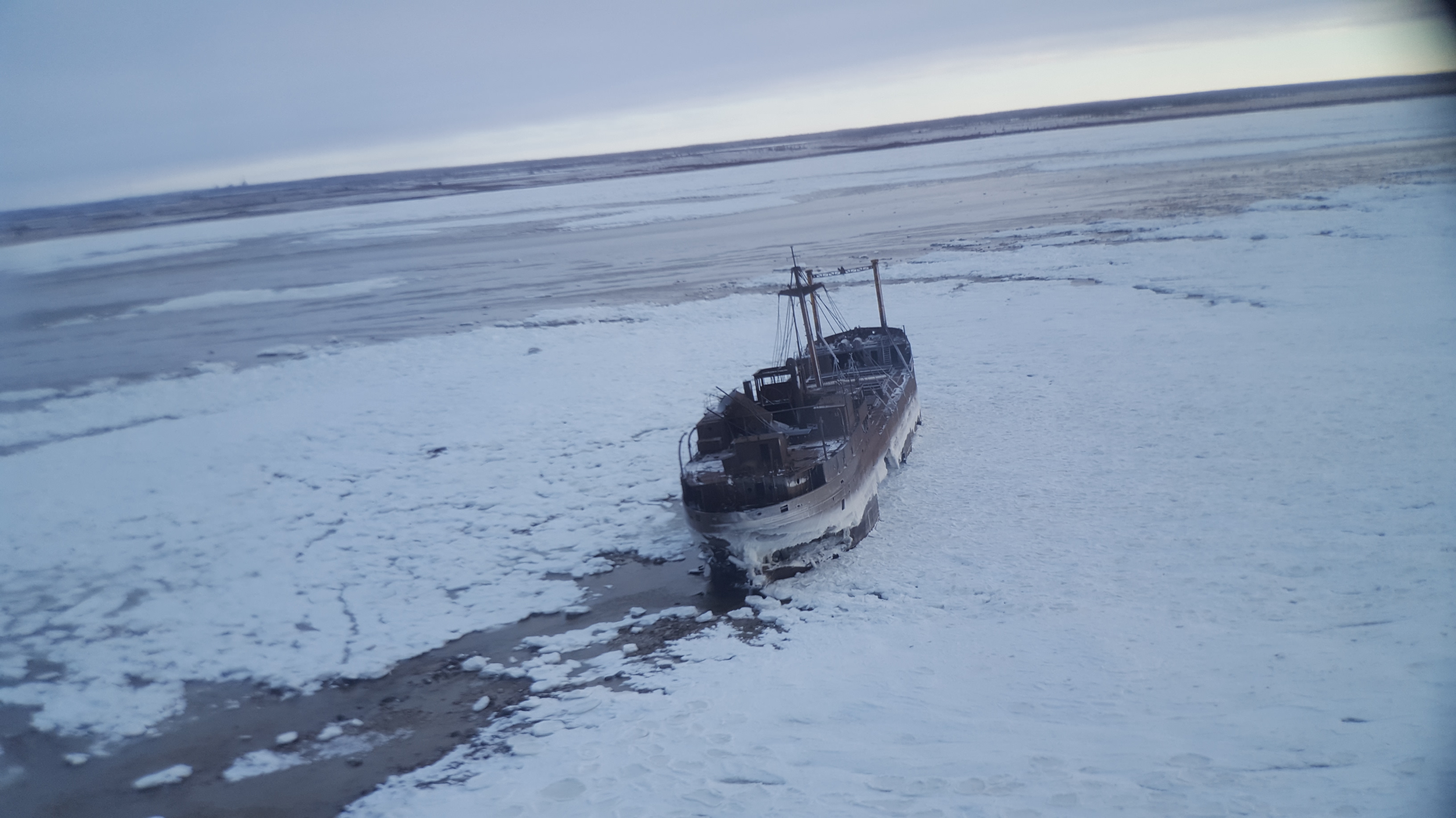 Polar Bears Trip Image 10